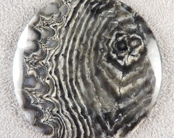 Stromatolite Cabochon, Stromatolite from Arizona, C6400, Hand Cut by 49erMinerals