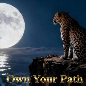Peut inclure: Un léopard est assis sur une falaise rocheuse, regardant une pleine lune dans un ciel nocturne. La lune se reflète sur l'eau en dessous, avec le texte "Own Your Path" en lettres dorées en bas. Le léopard a un pelage tacheté.