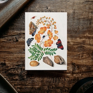 Puede incluir: Ilustración botánica sobre fondo blanco con mariposas, flores naranjas, hojas verdes y conchas marinas. La obra está sobre una superficie de madera oscura, con una taza de cristal y una bandeja de madera en el fondo.