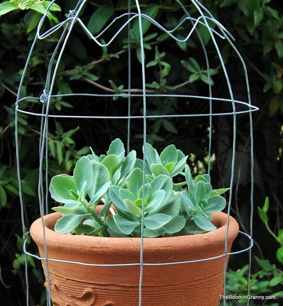 Items similar to Wire Garden Style Cloche on Etsy