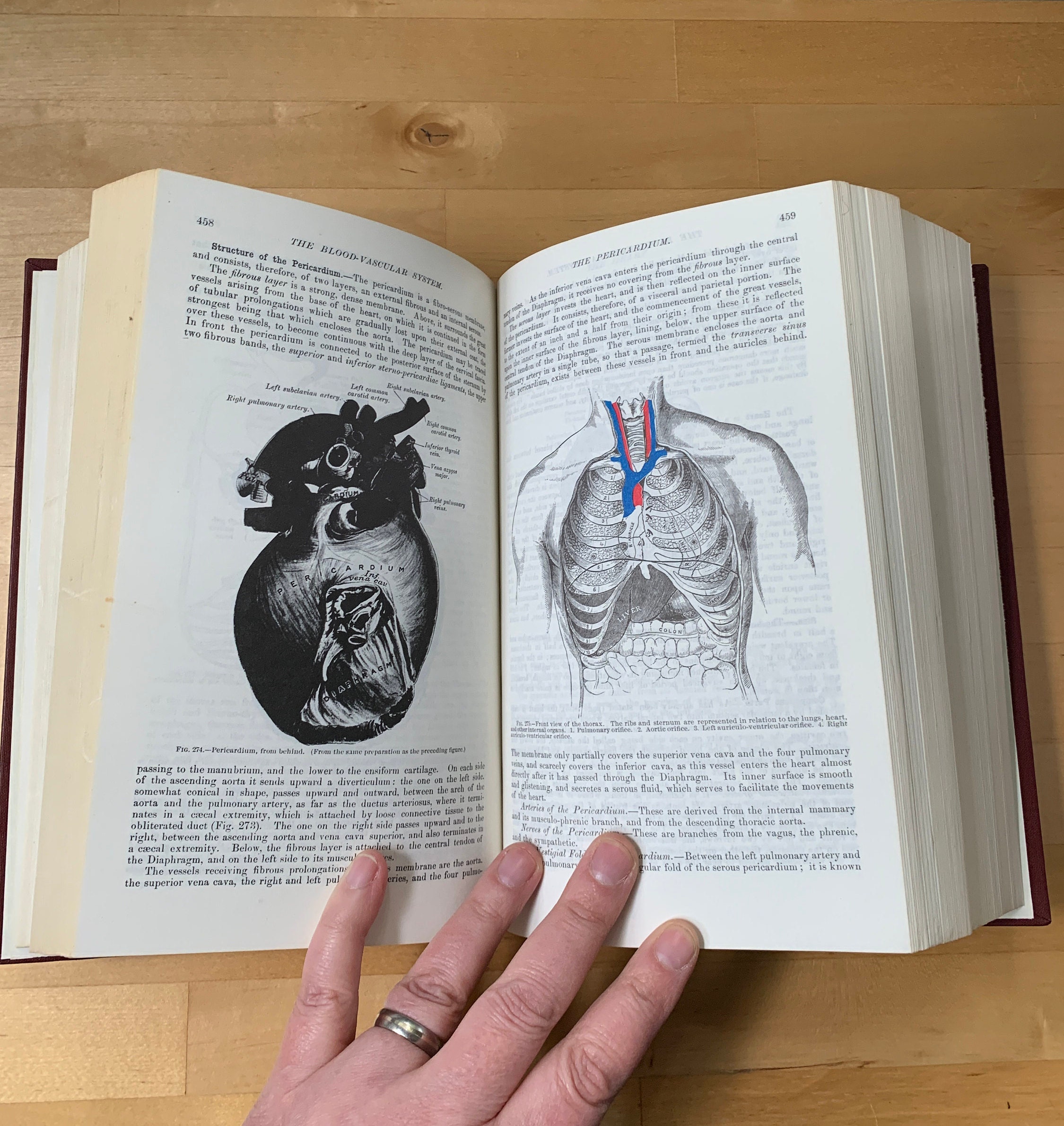Gray's Anatomy Book 1974 Hardcover Illustrated Running Etsy UK