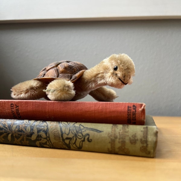 Vintage Steiff Turtle 'Slo' with Rubber Shell, No IDs, Adorable.