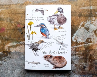 Riverbank Notebook - A6 Plain Paper, nature sketchbook