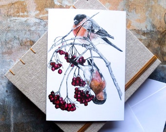 Blank Card - Bullfinches & Red Berries - Christmas or Winter Bird Card