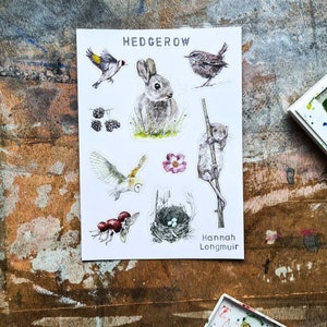 Folha de adesivos - Adesivos para sebes, adesivos de papel ecológico A6