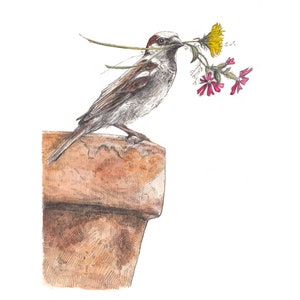 Afdrukken - Huismus en wilde bloemen - drie formaatopties, pen en aquareltekening
