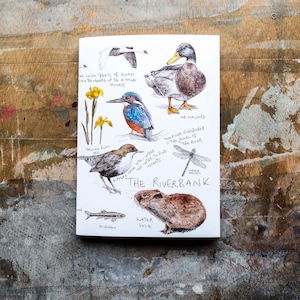 Taccuino Riverbank - Carta comune A6, quaderno per schizzi sulla natura