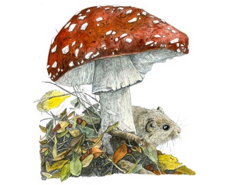Print - The Toadstool and the Vole - mushroom print, kitchen art