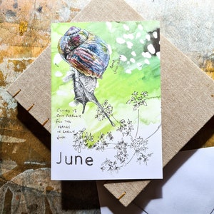 The June card has an illustration of a snail with a colourful shell on a watercolour green background.  There is a pen sketch of cow parsley.  The card is photographed on a linen covered sketchbook on a wooden drawing board.