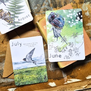 2024 Wild Months Postcards Pack Set of 12 one for each month wildlife postcards, wildlife prints, natural year image 4
