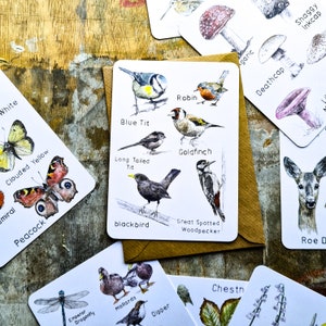 Collections Postkarten - Set mit 9 Natur Postkarten, Wildtierdrucke, Homeschool Postkarten für Kinder