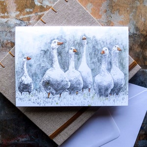 Blank Card Looking for Trouble white farmyard geese image 1