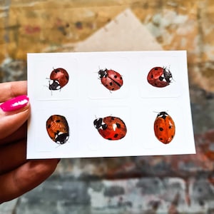 Mini foglio di adesivi - Coccinelle - piccoli adesivi coccinelle per pianificatori, journaling, mail art, scrapbooking