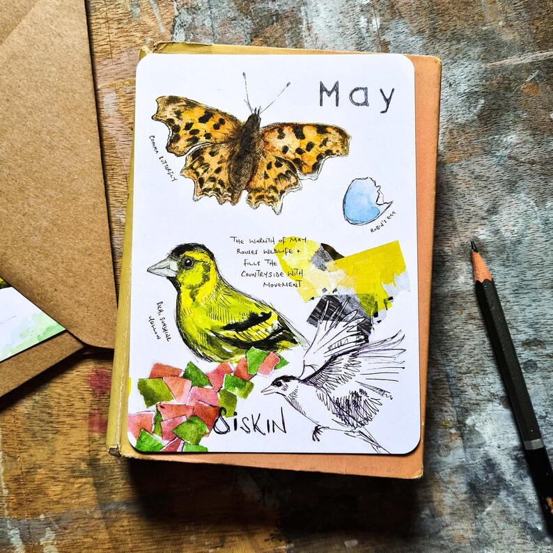 2023 Wild Months Postcards Pack (Set of 12)- one for each month - wildlife postcards, wildlife prints, natural year