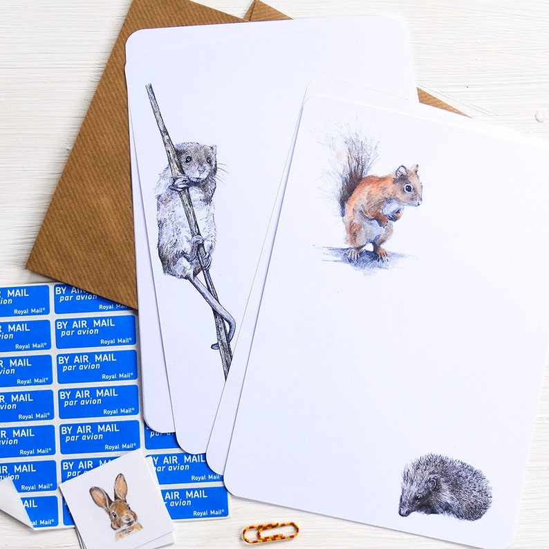 British Mammals Letter Writing Set Illustrated Writing ...