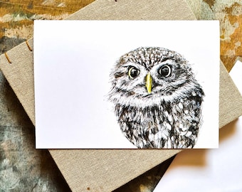 Blank Card - Little Owl