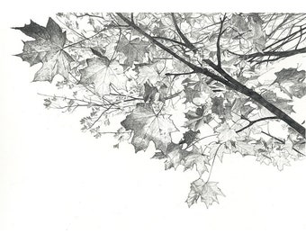 Art Print - November Light - limited edition print, autumn leaves, black and white