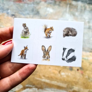 Folha de Mini Adesivos de Animais Pequenos