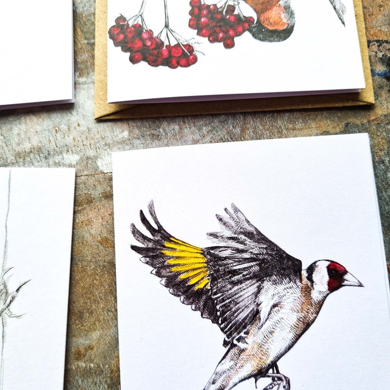 Mini Notecard Set Garden Birds Pack of 5 image 4