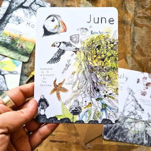 Postales de vida silvestre "Meses salvajes 2026": Año natural, sobres Kraft imagen 8