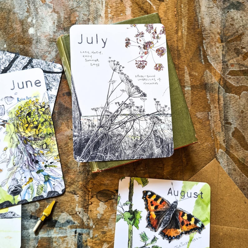 Postales de vida silvestre "Meses salvajes 2026": Año natural, sobres Kraft imagen 7