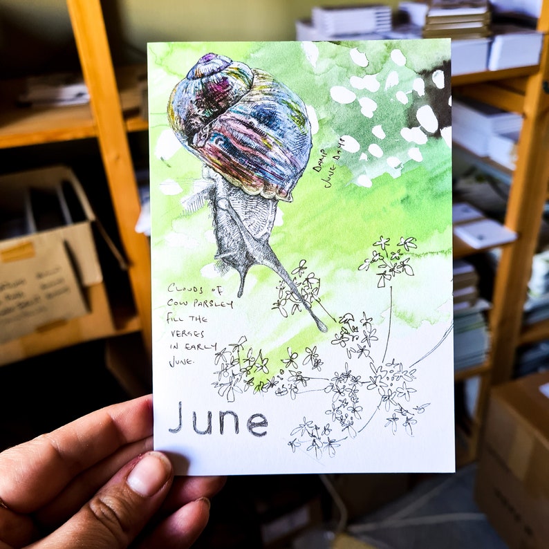 Blank Card June Wild Months, Summer Birthday Card image 2