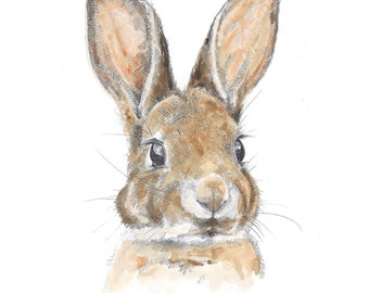 Print - Little Leveret - Baby Hare Drawing