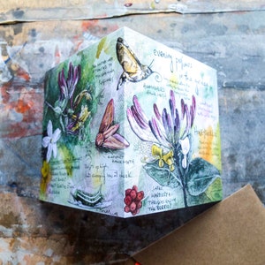 Carte Parfums du soir - Carte enveloppante A Garden for Wildlife, art botanique chèvrefeuille