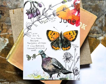 Blank Card - June - Wild Months, Summer Birthday Card