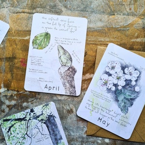 Field Notes Postcards Pack (Set of 12) - one for each month - tree postcards, poetry prints, natural year
