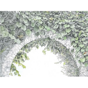 Art Print - Archway and Wren - Limited Edition Print, ivy covered archway, walled garden wall art