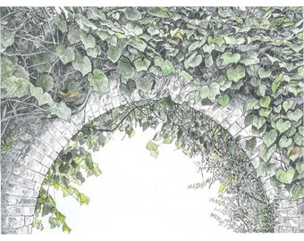 Art Print - Archway and Wren - Limited Edition Print, ivy covered archway, walled garden wall art