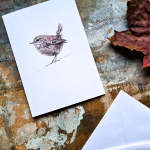 Blank Card - Sketchy Wren