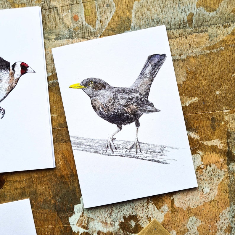 Mini Notecard Set Garden Birds Pack of 5 image 7