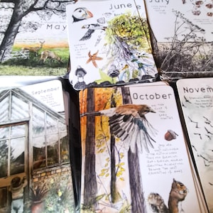 Postales de vida silvestre "Meses salvajes 2026": Año natural, sobres Kraft imagen 3