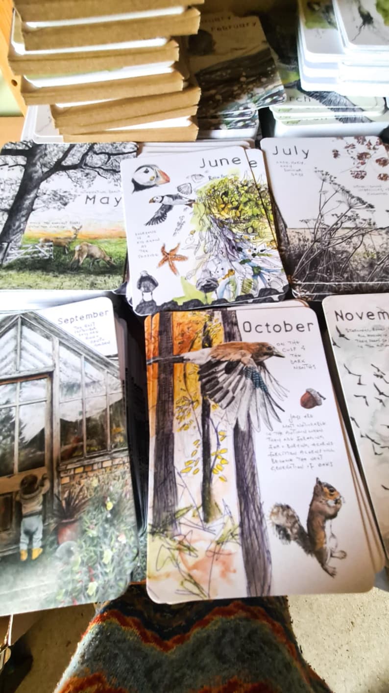 Postales de vida silvestre "Meses salvajes 2026": Año natural, sobres Kraft imagen 3