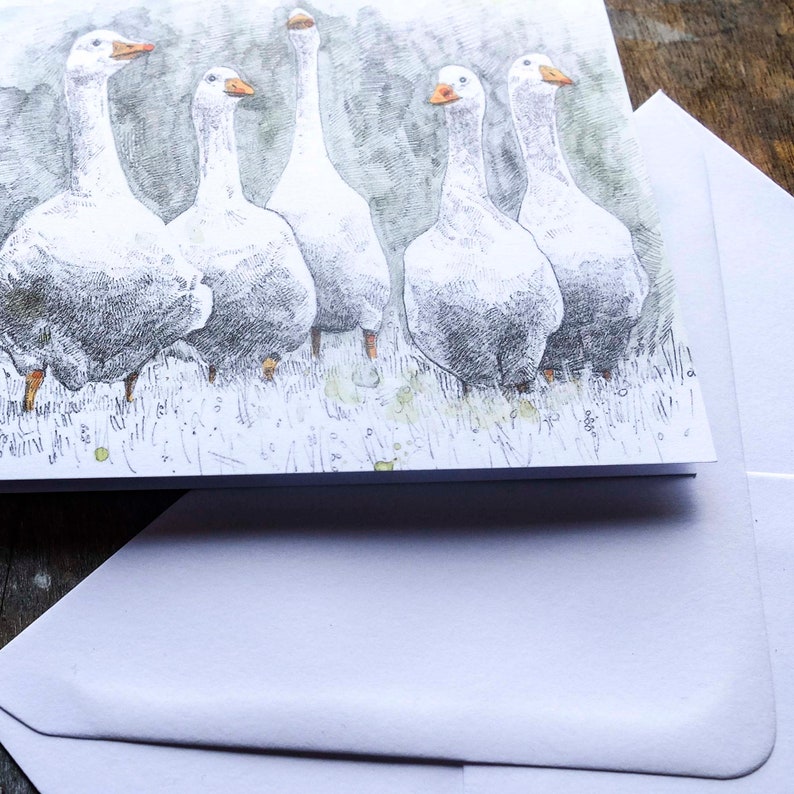 Blank Card Looking for Trouble white farmyard geese image 3
