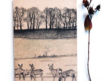 Sketchbook - Roe Deer - A5 plain paper jotter, nature notebook