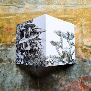 Carte de forêt de champignons - carte wrap-around A Garden for Wildlife, art de la nature automnal, impression de champignons