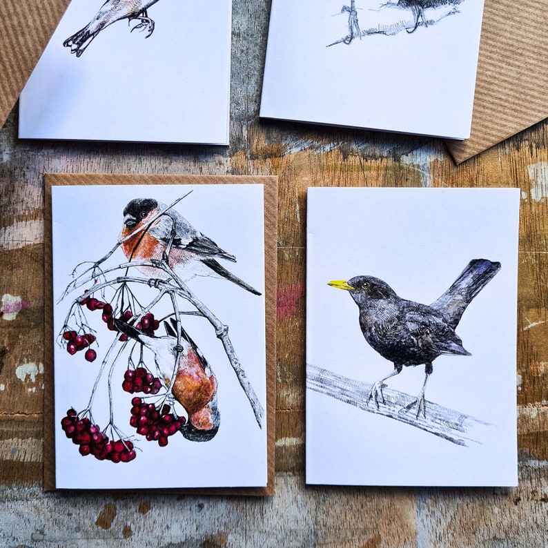 Mini Notecard Set Garden Birds Pack of 5 image 6