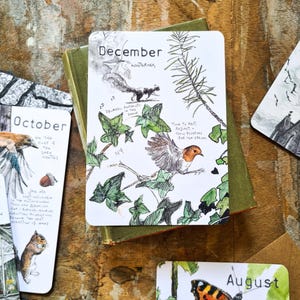 Postales de vida silvestre "Meses salvajes 2026": Año natural, sobres Kraft imagen 6