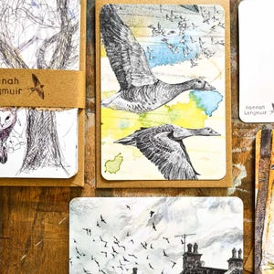 Into the Sky - lot de 12 cartes postales avec enveloppes - oiseaux, vol
