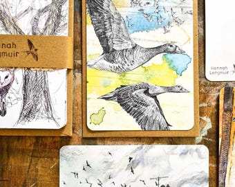 Into the Sky - a pack of 12 postcards with envelopes - birds, flight