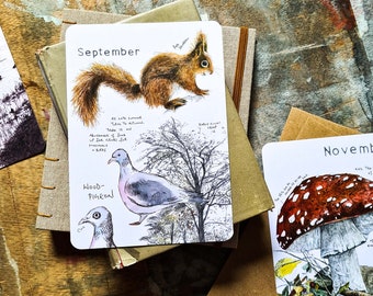 2023 Wild Months Postcards Pack (Set of 12)- one for each month - wildlife postcards, wildlife prints, natural year