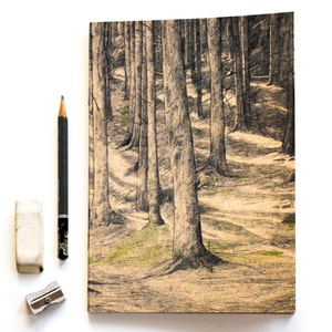 Carnet de croquis - Grands arbres - Bloc-notes A5 en papier uni, carnet de notes nature écologique
