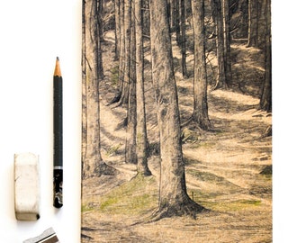 Sketchbook - Tall Trees - A5 plain paper jotter, nature eco notebook