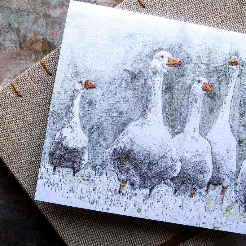 Blank Card Looking for Trouble white farmyard geese image 4
