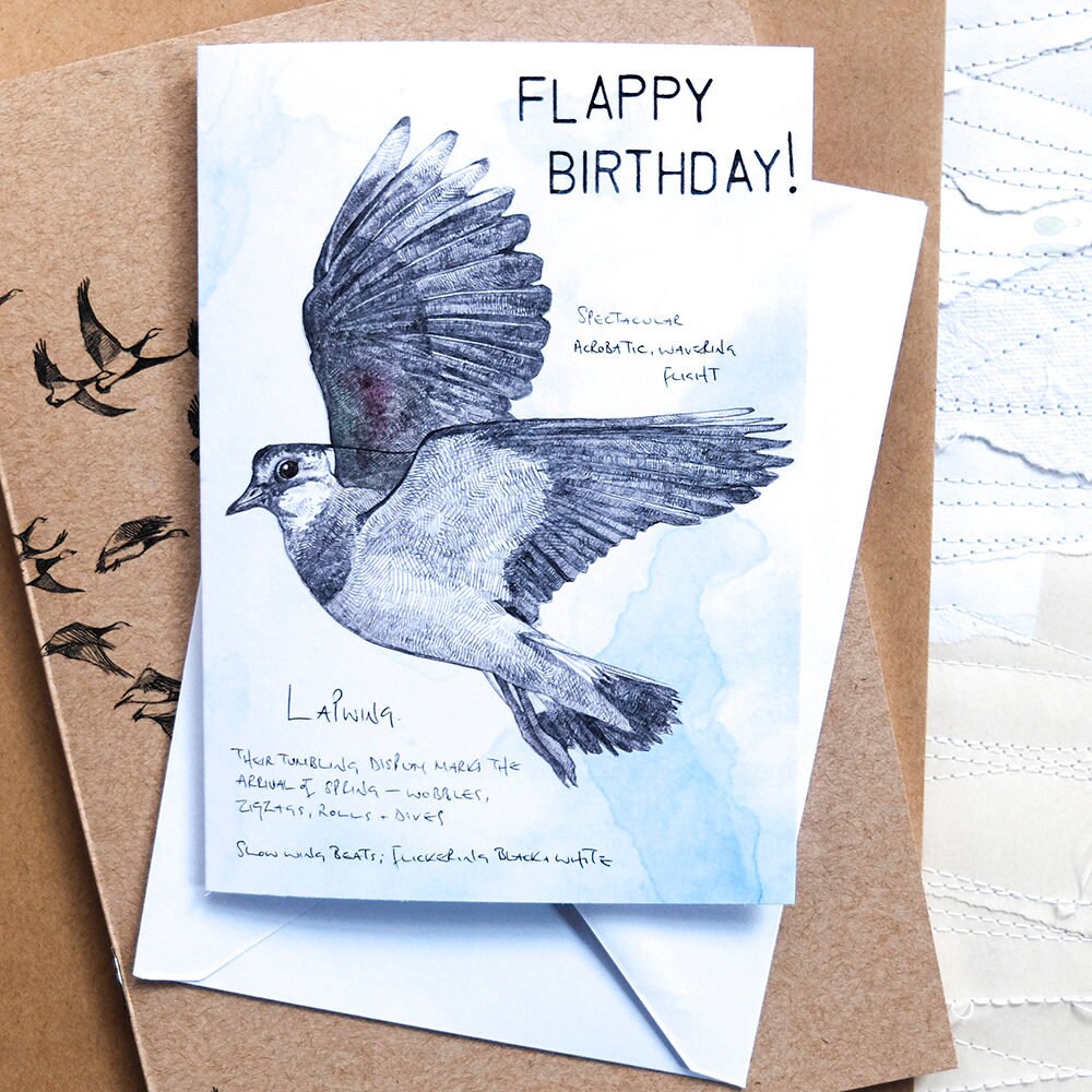 Flappy Birthday! A lapwing birthday card