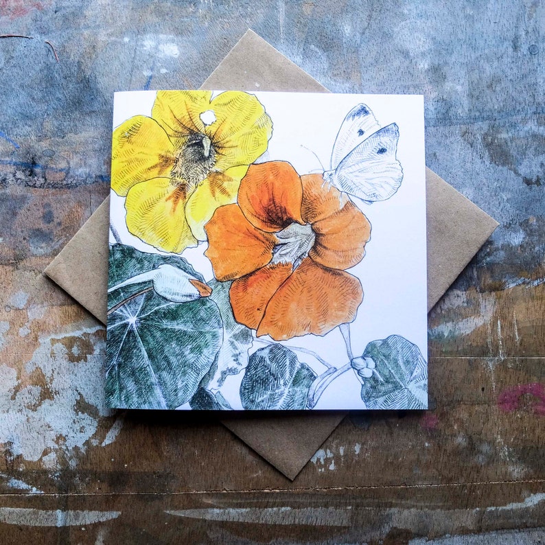 Nasturtiums Card A Garden for Wildlife wrap-around card, botanical garden print image 2