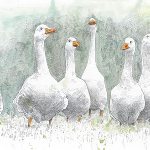Blank Card Looking for Trouble white farmyard geese image 5